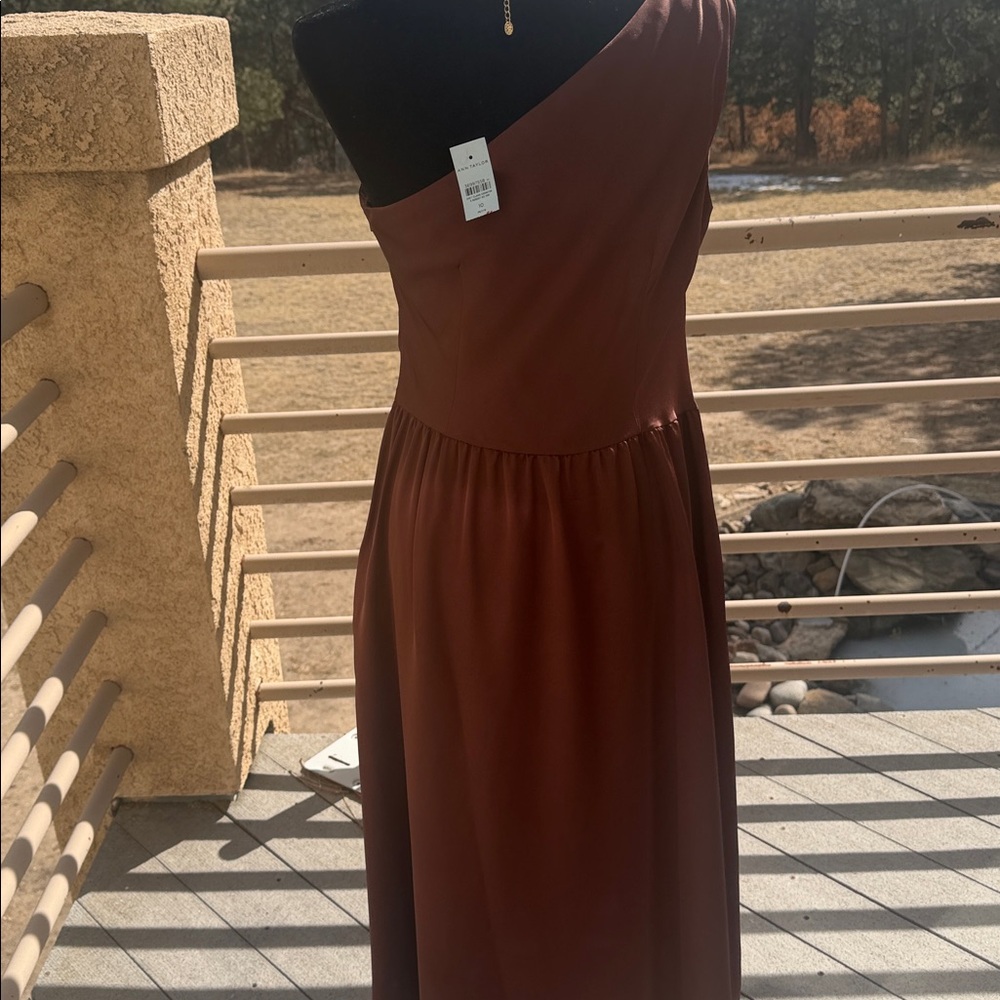 Ann Taylor Rich Copper Brown One-Shoulder Dress (NWT) - Picture 3 of 5